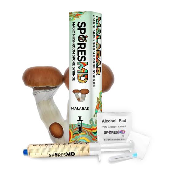 SPORES MD MAGIC MUSHROOM SPORE SYRINGE / MALABAR